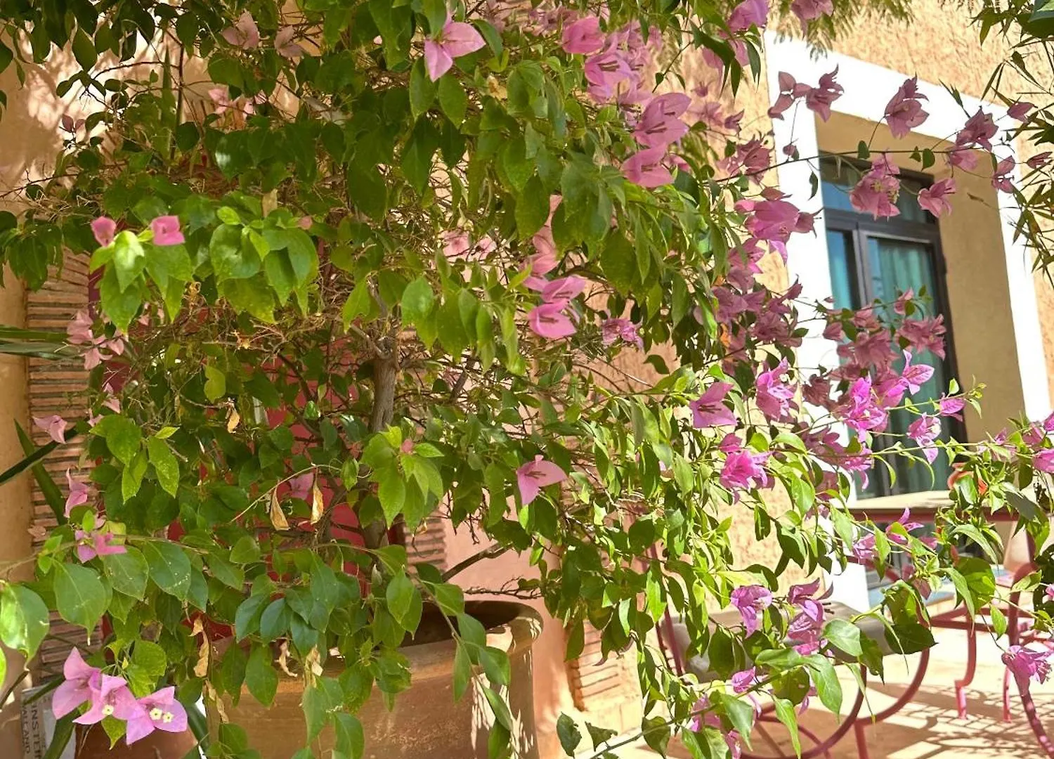 La Villa Des Golfs & Pinkcactus Marrakesh 5*,